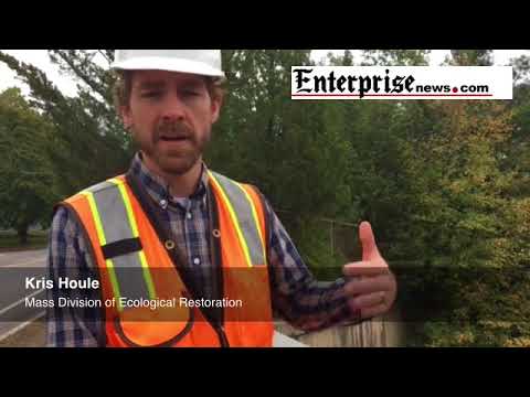 Carver Cotton Gin removal project underway in East Bridgewater