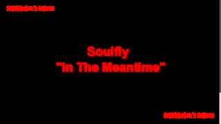 soulfly &quot;in the meantime&quot;