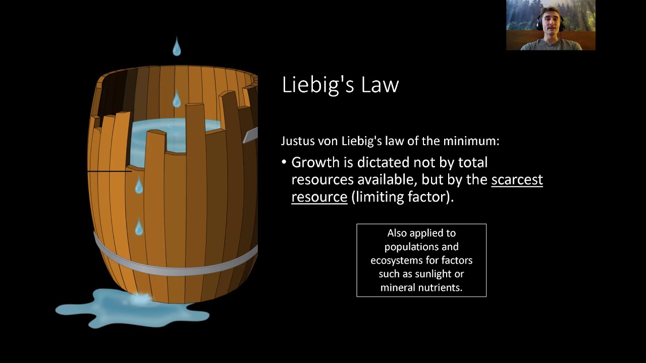 Plant Nutrition (Part 1)
