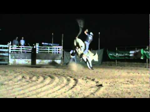 Cheap Tricks #830 With Cayson Wilson.mpg