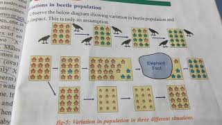 class-10 How do traits get expressed?