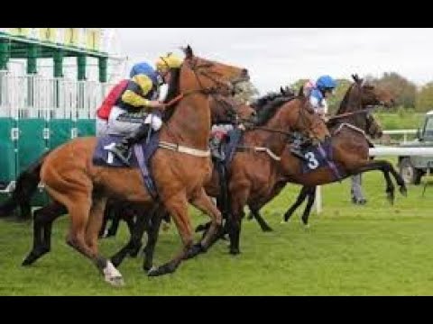 【CHATEAUBRIANT TURF FLAT】 FRENCH HORSE RACE ANALYSIS - CHECK OUT BEST OF THE DAY TOO!!