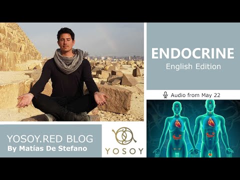 Day 292 - ENDOCRINE - Matías De Stefano - YOSOY BLOG: Third Eye-Physical-Taurus, Read by Carey 5/22