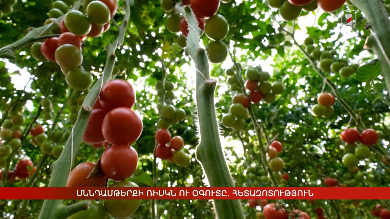 Սննդամթերքի ռիսկն ու օգուտը. հետազոտություն