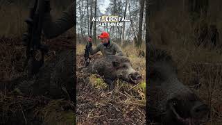 Neuer Film auf Hunt on Demand! #jagd #drückjagd