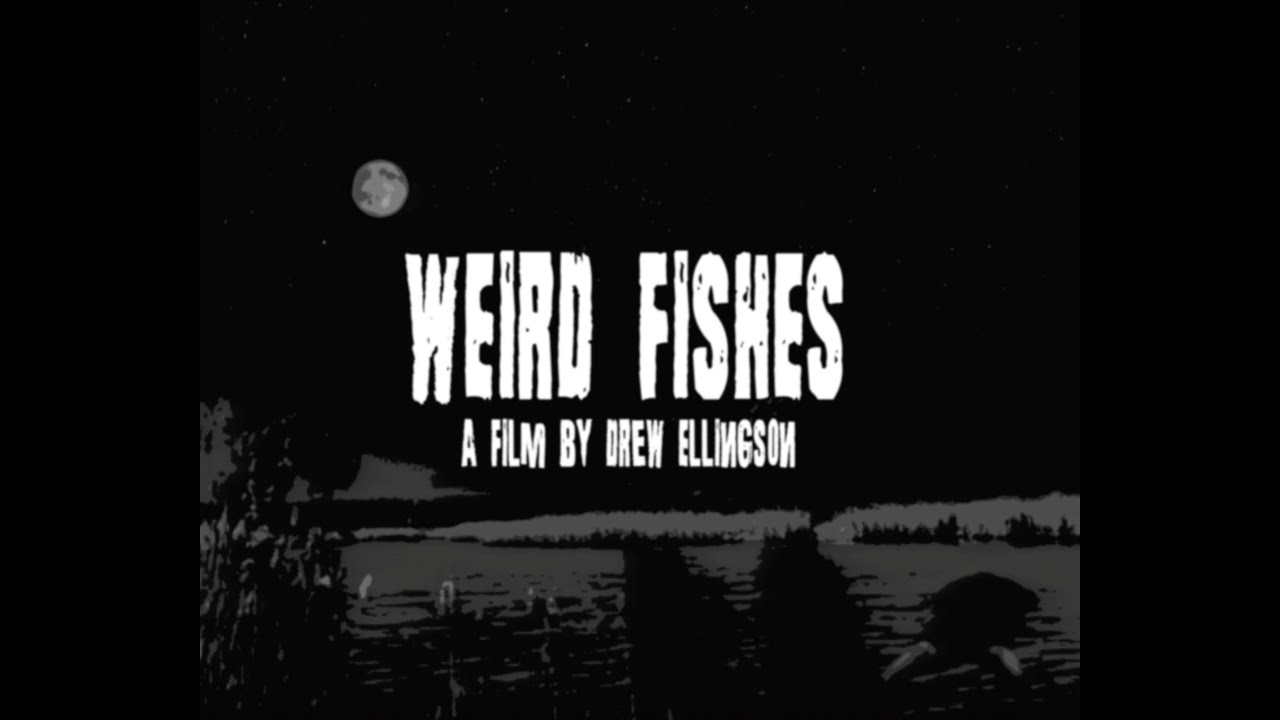 Weird Fishes (2024 Short Horror FIlm)