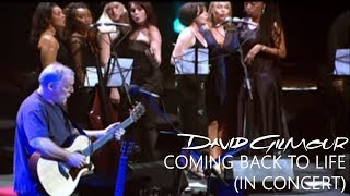 David Gilmour - Coming Back to Life (In Concert)