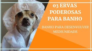 03 ERVAS PODEROSAS - BANHO PARA DESENVOLVER A MEDIUNIDADE - UMBANDA