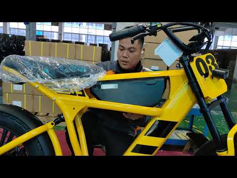 FT-03 Electric Bike 750W 48V 18.2Ah Battery E-Bike Electric Bicycle 25KM/H