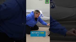 The Secret to Teaching a Perfect "Out" Command #Shorts