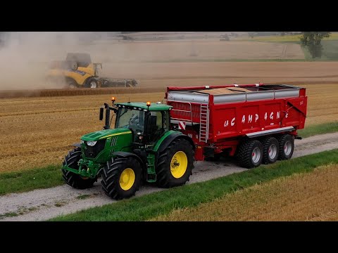 Moisson 2024 - New Holland CR 9.90 et MacDon 10,6 mètres !