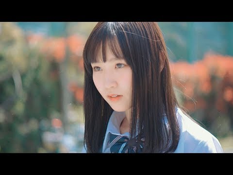 タートルリリー『Say Hello!!』- ミュージックビデオ