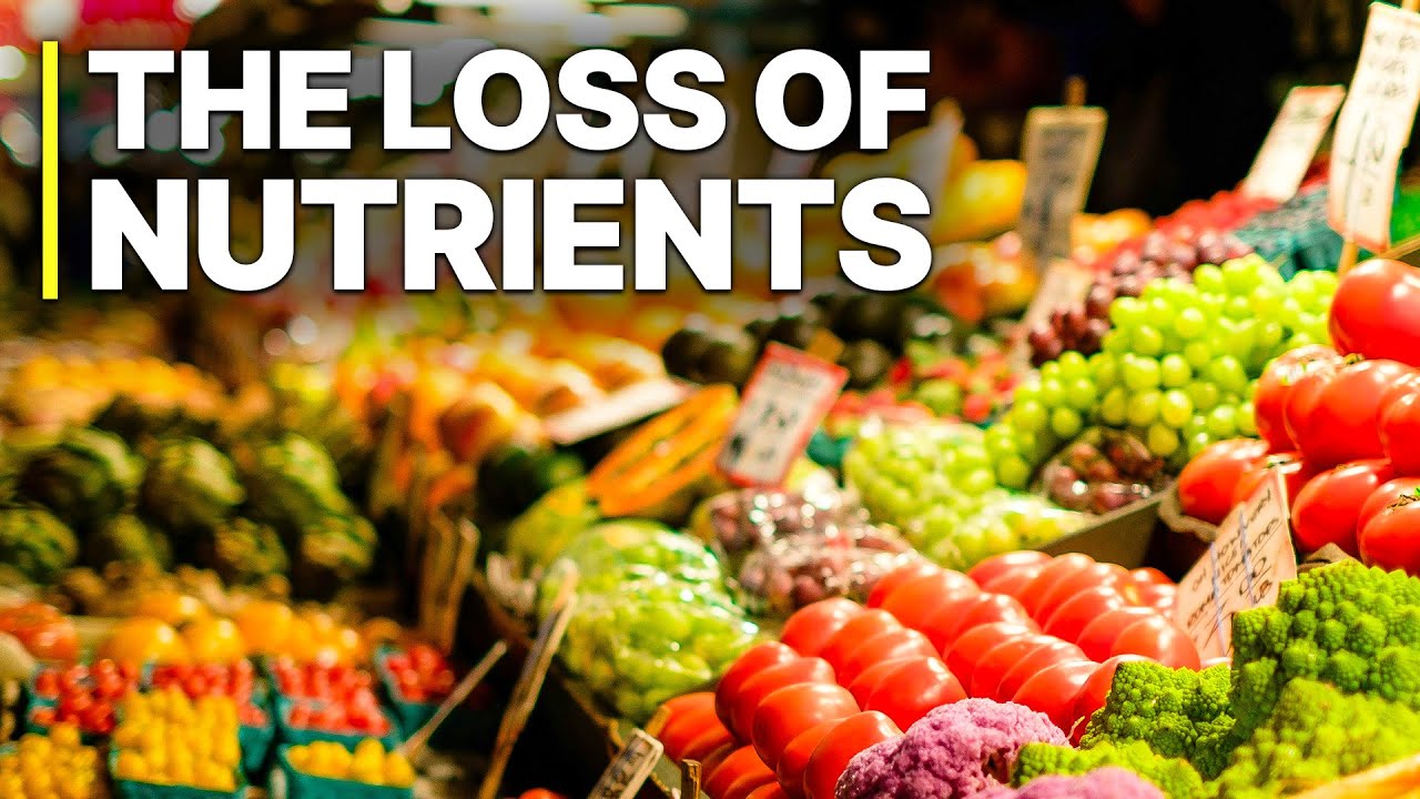 Industry Scandal: The Loss Of Nutrients | Full Documentaries