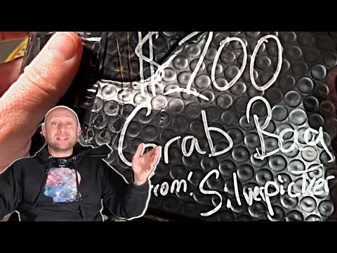 I got a $100 Coin Mystery Grab Bag from a FAMOUS YouTuber! @Silverpicker