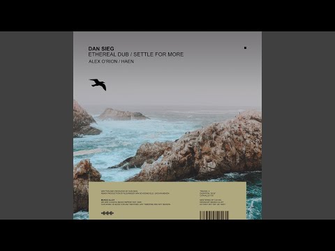 Settle for More (Haen Remix)