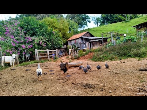 Ela ainda vive assim  nos dias de hoje # como se fosse a muitos anos atrás...