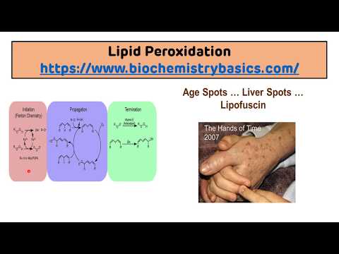 Lipid Peroxidation || Measurement of Free Radical Burden