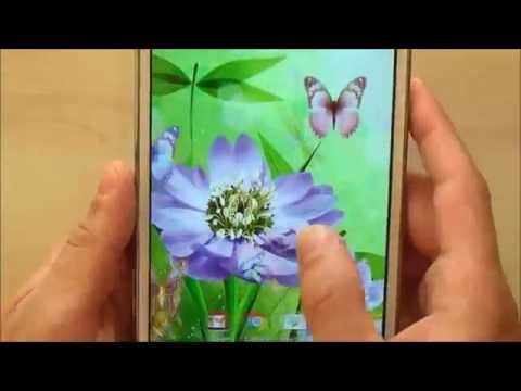 Cute Butterfly Live Wallpaper video