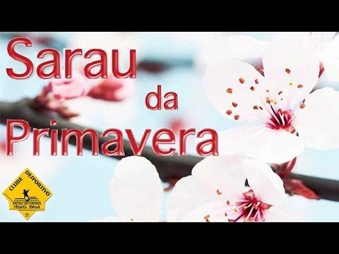 Sarau Primavera '17 CDESMT - Leopardos "Cabelos No Ar"