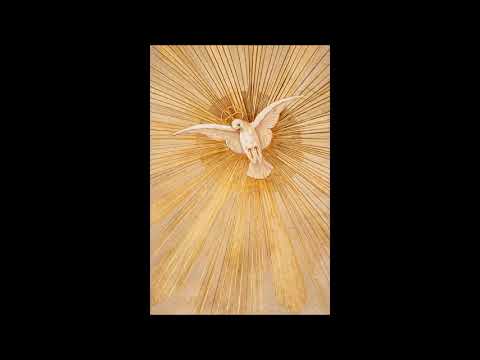 Duchu Święty, przyjdź, otwórz serce me, rozpal ducha i we mnie się módl...