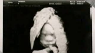 Cassper nyovest ft bas . youngsta CPT &amp; apu sebeked(nobody knows - audio)