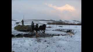 preview picture of video '246Spotted Draft Horse Ranch Daryl Woolstenhulme ID'