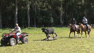 Miniatura do vídeo
