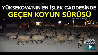 Yüksekova'nın En İşlek Caddesinde Geçen Koyun Sürüsü