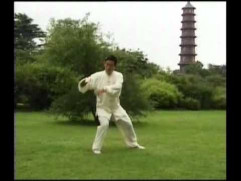 Chen Xiaowang 19 Posture Form (front view)