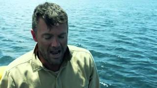 Download lagu فلم : Against The Sun 2014كامل مترجم (الوصف) mp3 Download lagu فلم : Against The Sun 2014كامل مترجم (الوصف) mp3