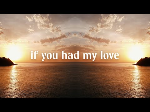 Damon Paul & MEYSTA - If You Had My Love (Extended Mix)