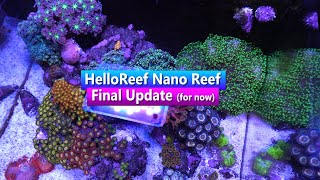 HelloReef Nano Reef - Final Tank Update/Tour (for now)