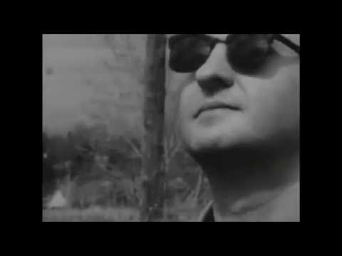 Panama City Motel - Sugar