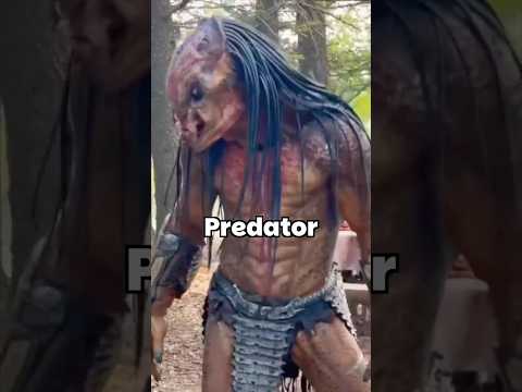 🤣EL DETALLE MÁS HUMILLANTE DE PREDATOR
