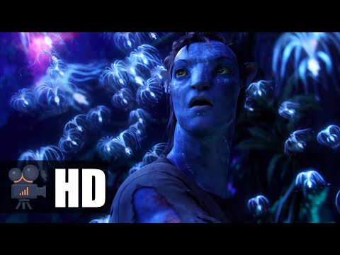 Avatar clip - Pure Tree Seeds Scene (2009) | MovieCrush