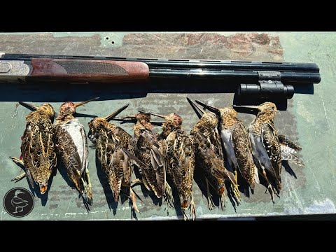 BEST Way to Hunt SNIPE!