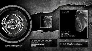 LE BRUIT QUI COURT - A2 - Prophetic Visions - ROOM PLATE EP - SW03