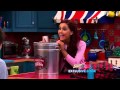 Sam Cat Bibble Sneak Peek