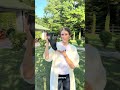 Кросівки чоловічі вологостійкі термо 593045 Чорні Відео
