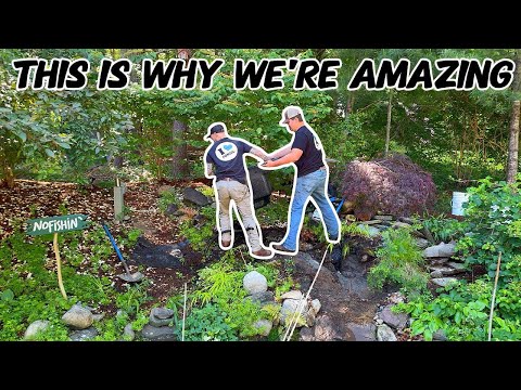Rebuilding A BACKYARD Waterfall!