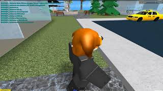 MPXD Network c.o. - big update! MP3