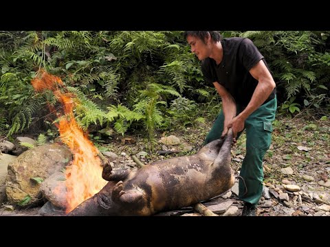 Survival Challenges: 🪓🏹🔥The Tree That ‘Puts a River to Sleep’: Myth, Magic, or Science?