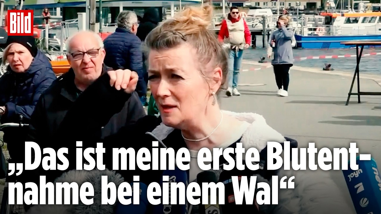 Tierärztin erklärt Verfahren: So nehme ich Timmys Blut ab