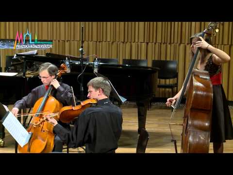 Antonín Rejcha - Variations for bassoon and strings - Michaela Špačková