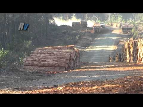2011 İstanbul Ralli Kupası 1. Ayak / Hakkı Ağaoğlu - Hakan Uçucu / Mitsubishi Lancer Evo 9