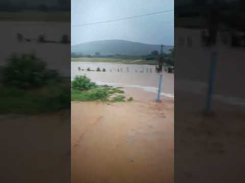 Laranjo - Dom Basílio - Bahia