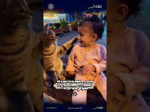 حين تلتقي براءة الأطفال بلطف القطط 🤍✨️