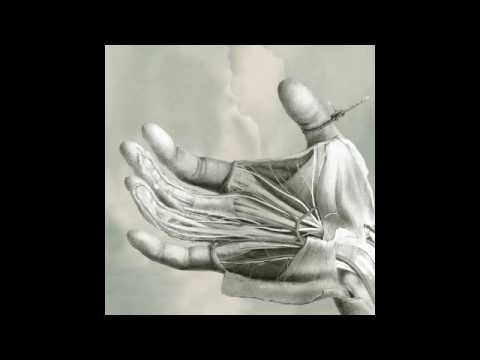 Free The Robots - Voices