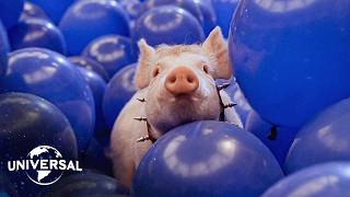 Download lagu Babe: Pig in The City | The Big Blue Balloon Escape mp3