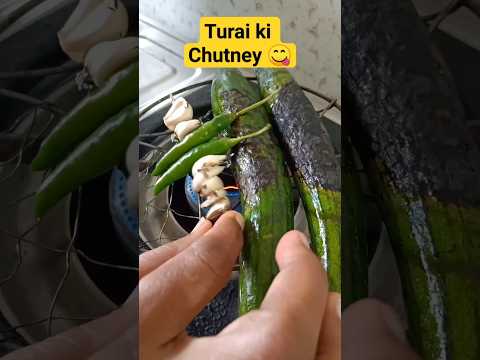 Turai ki Chutney|तुरई की चटनी || 😋
